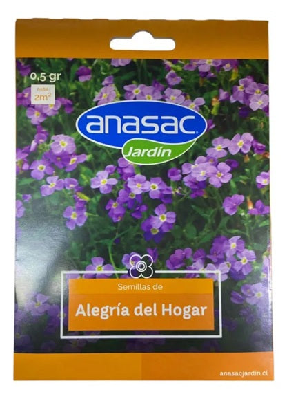 SEMILLA FLOR ALEGRIA DEL HOGAR