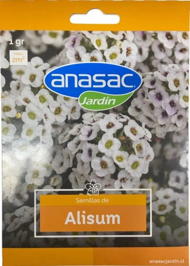 SEMILLA FLOR ALISUM