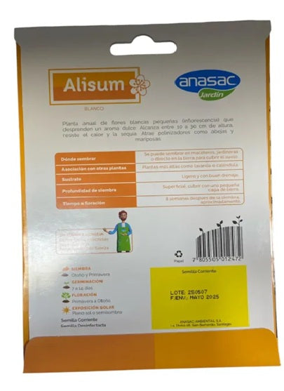 SEMILLA FLOR ALISUM