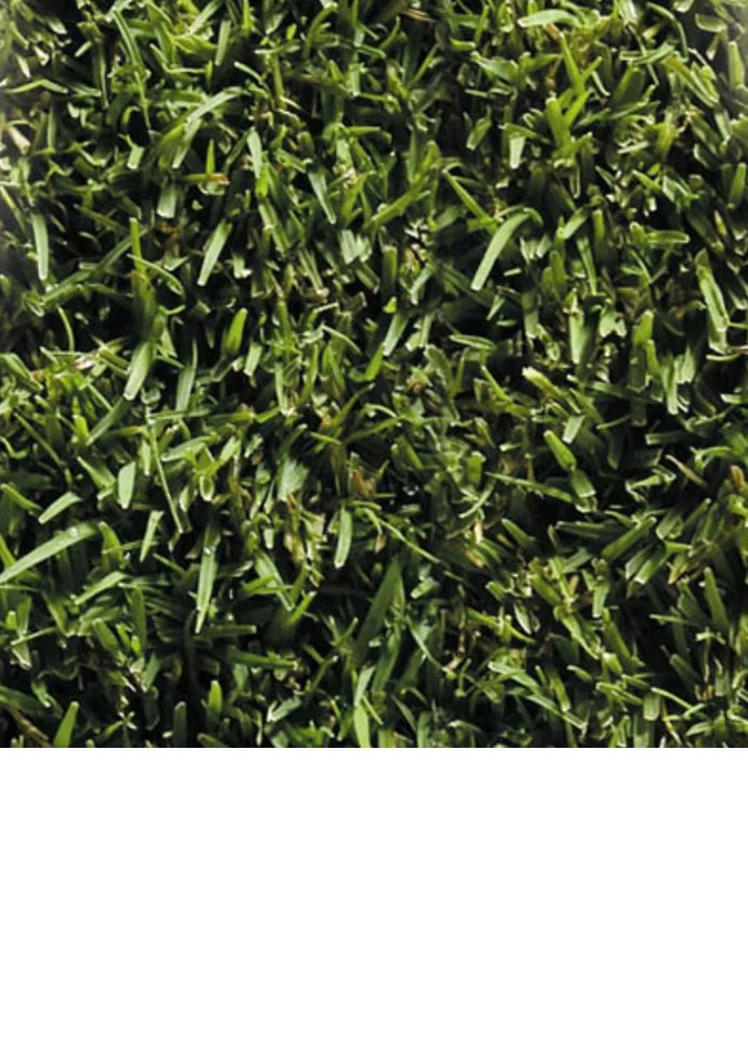 SEMILLA DE PASTO BERMUDA 250 GR