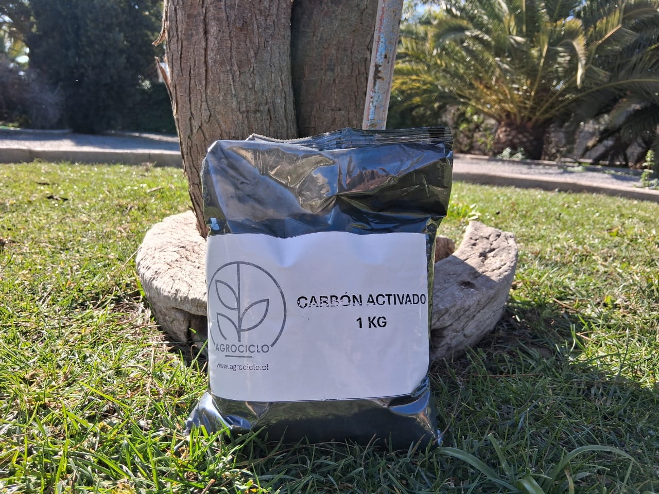 CARBON ACTIVADO 1 KG