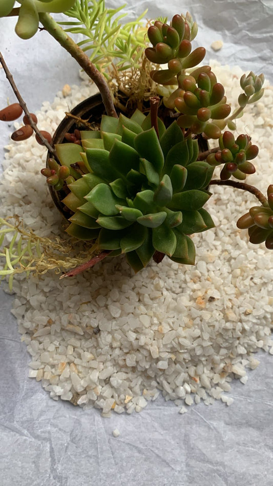 PIEDRA CUARZO MAIZ 20 KG