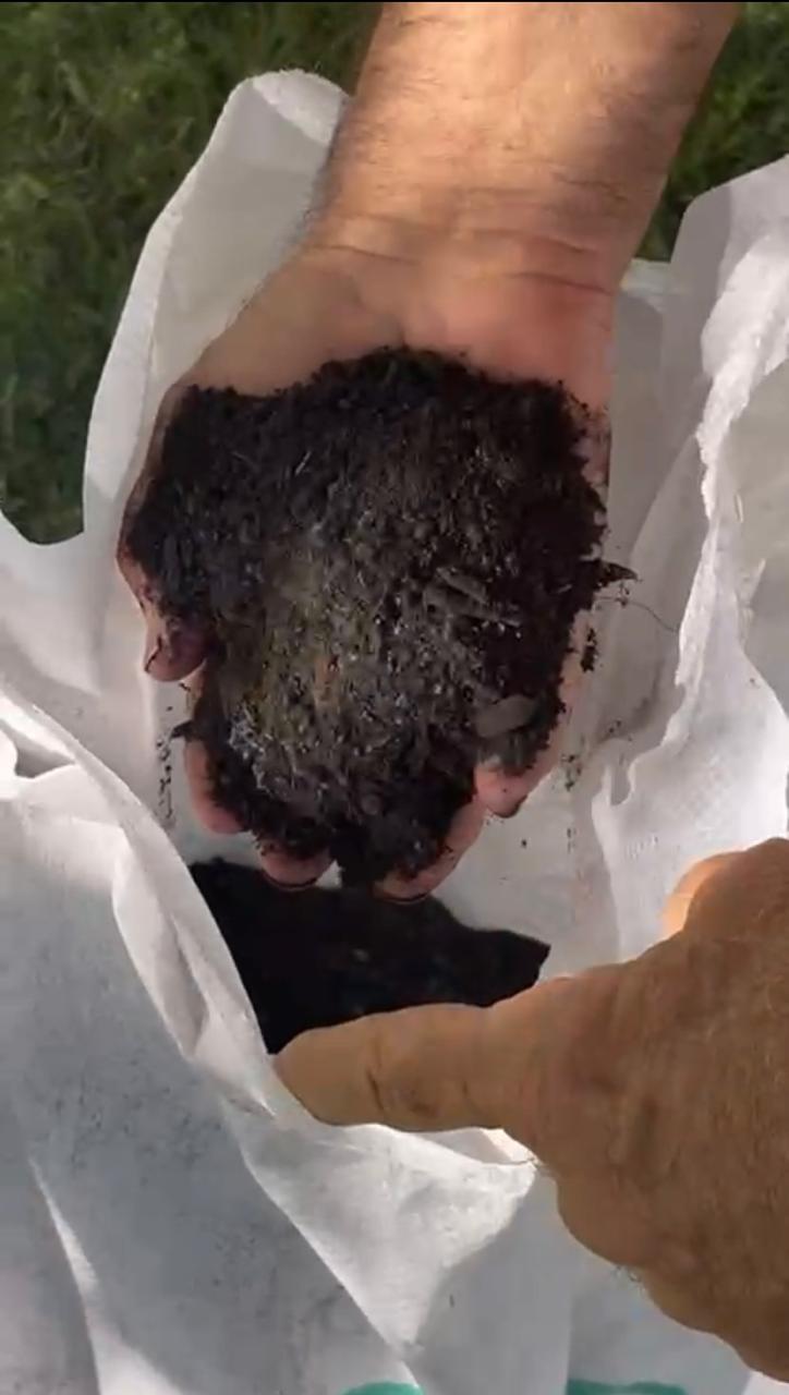 TIERRA DE HOJA Y PERLITA