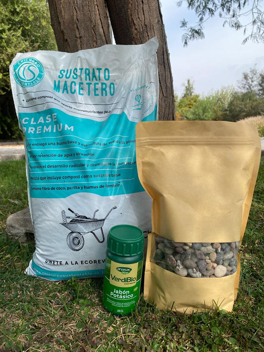 RESCATE DE PLANTAS 20 LITROS