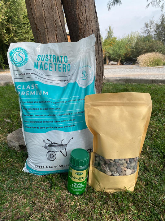 RESCATE DE PLANTAS 10 LITROS