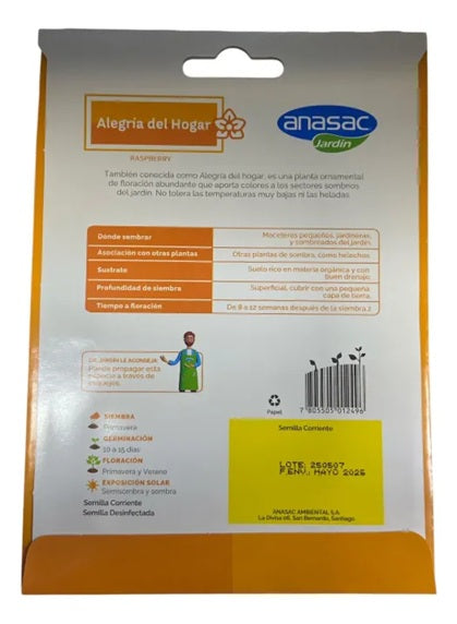 SEMILLA FLOR ALEGRIA DEL HOGAR