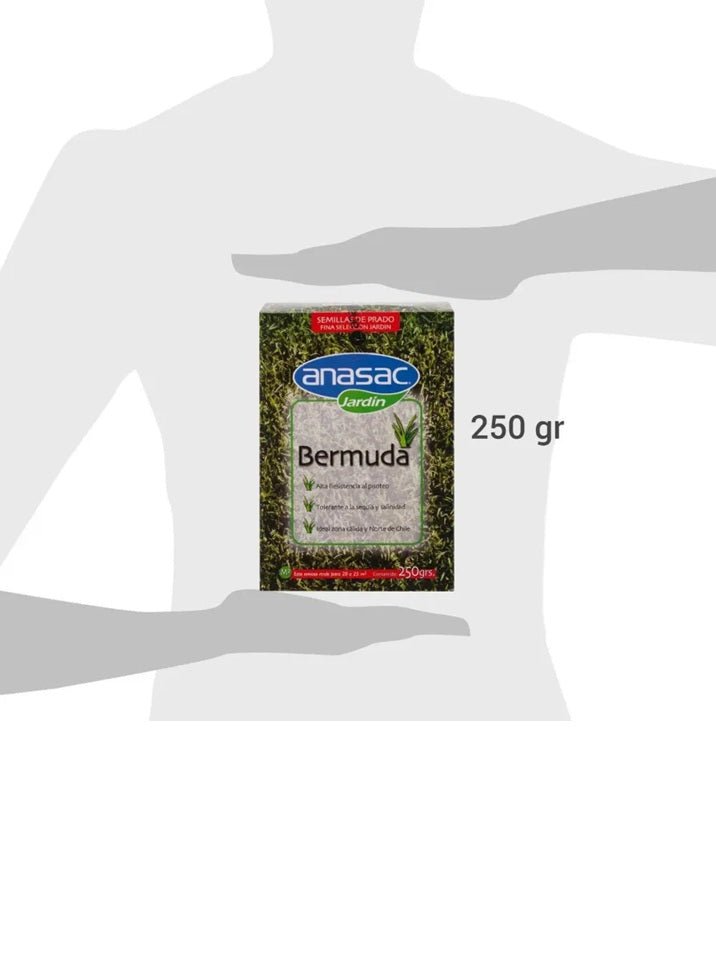 SEMILLA DE PASTO BERMUDA 250 GR