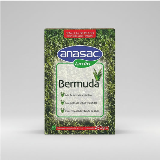SEMILLA DE PASTO BERMUDA 250 GR