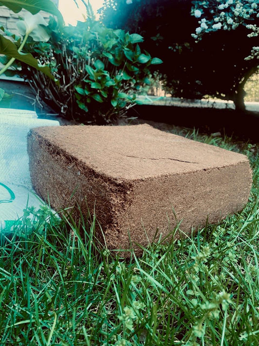 BLOQUE FIBRA DE COCO 5 KG