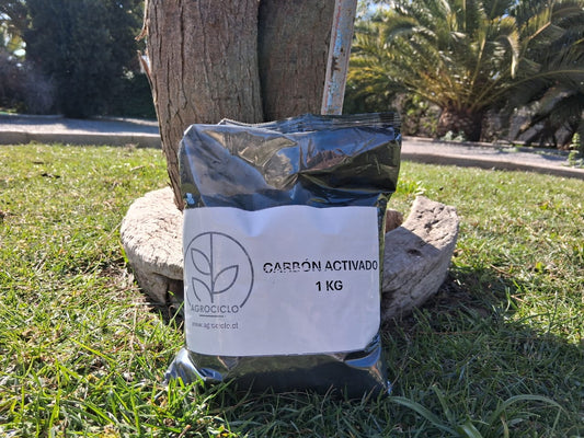 CARBON ACTIVADO 1 KG