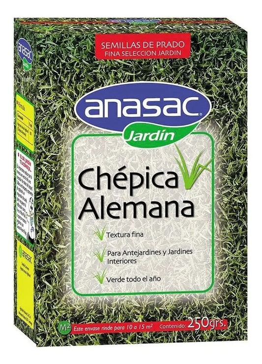 SEMILLA DE PASTO CHEPICA ALEMANA