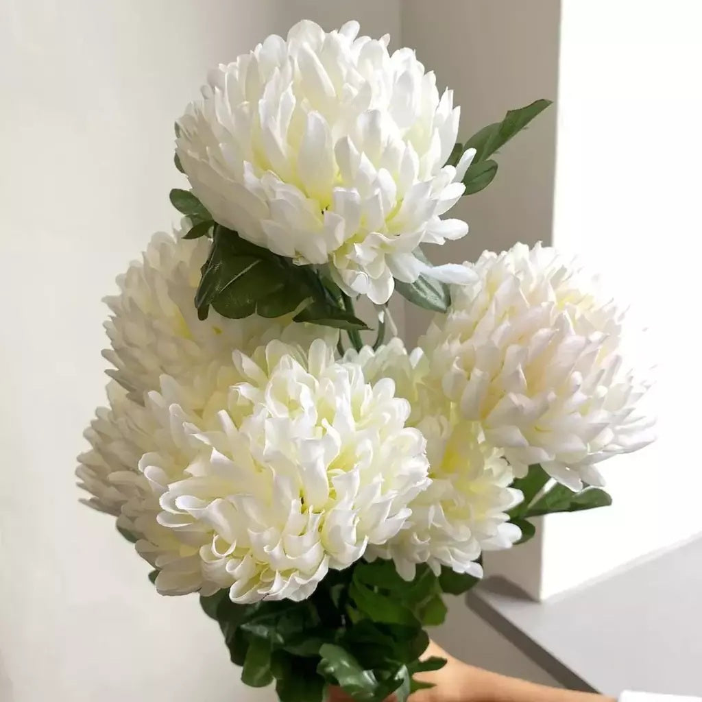 CRISANTEMO ENANO BLANCO
