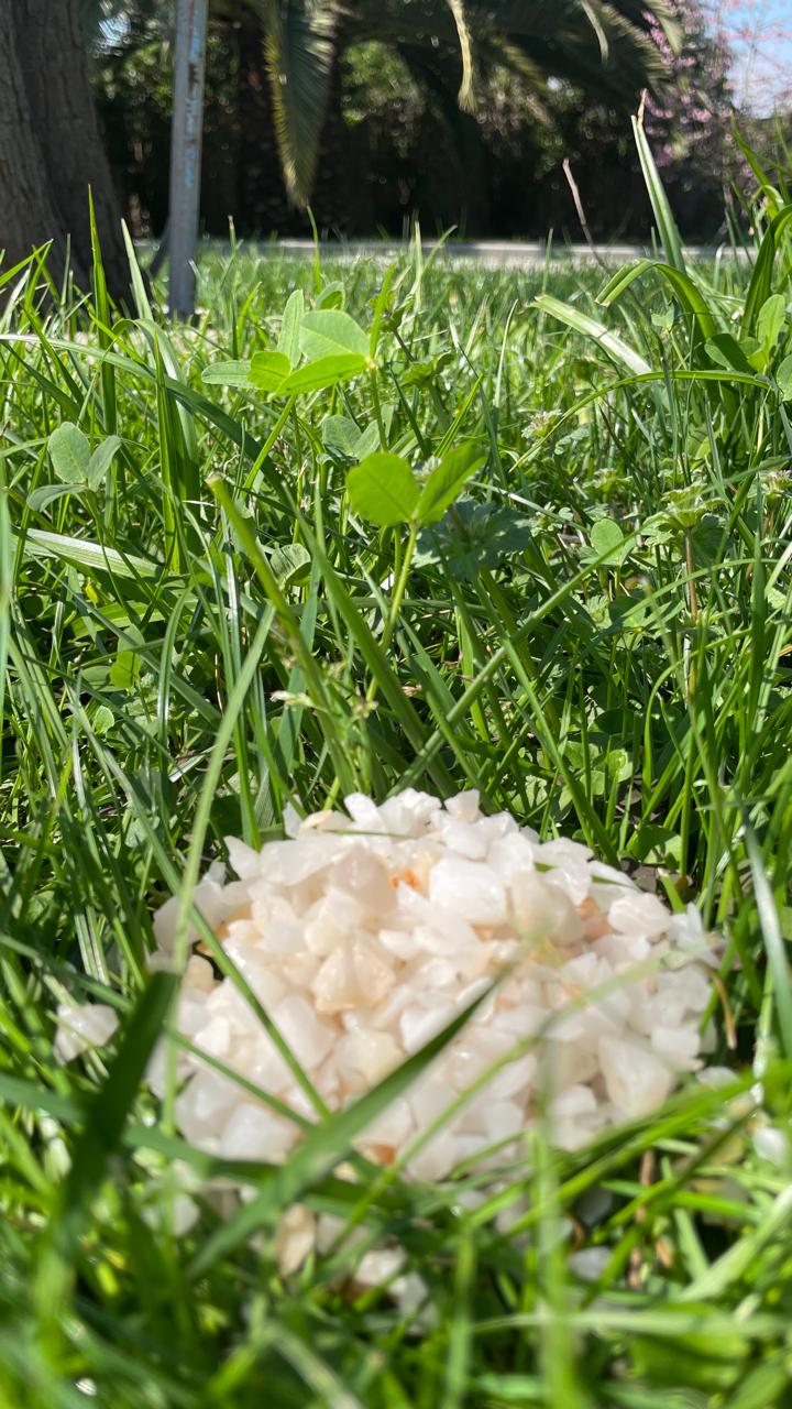 CUARZO BLANCO GRANULADO 20 KG