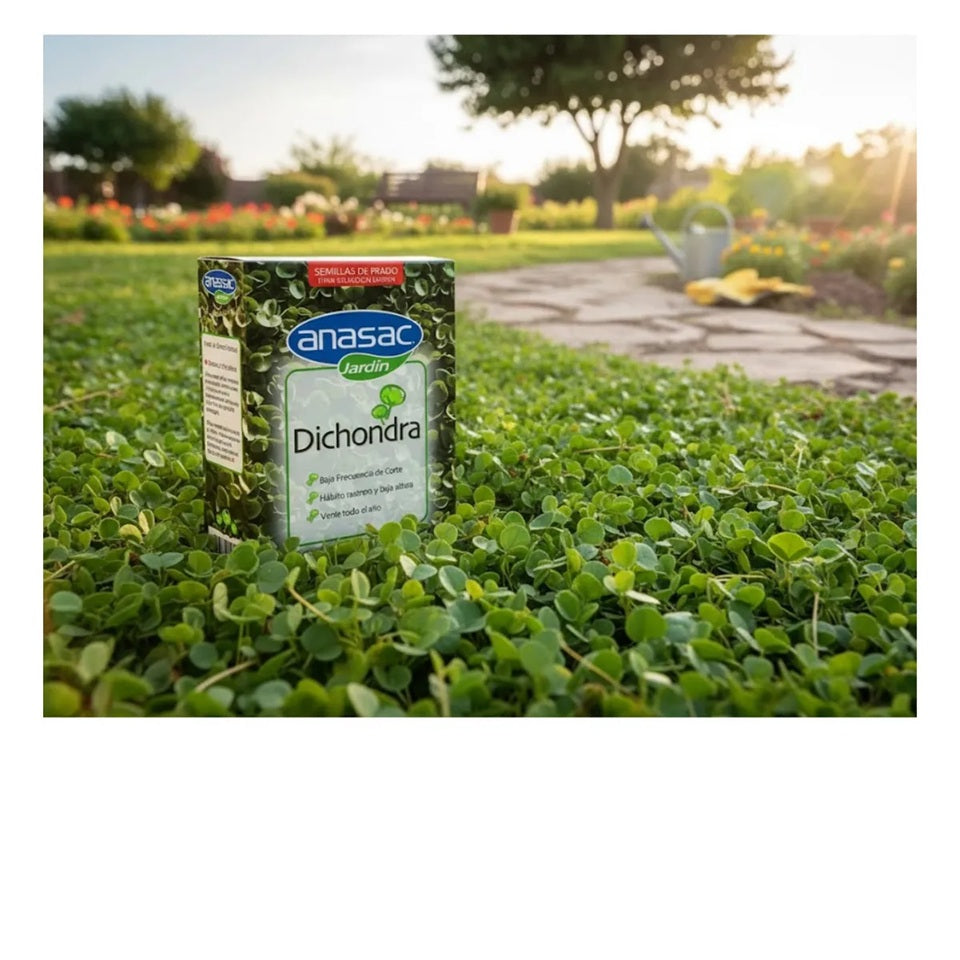 SEMILLA PASTO DICHONDRA 250 GR