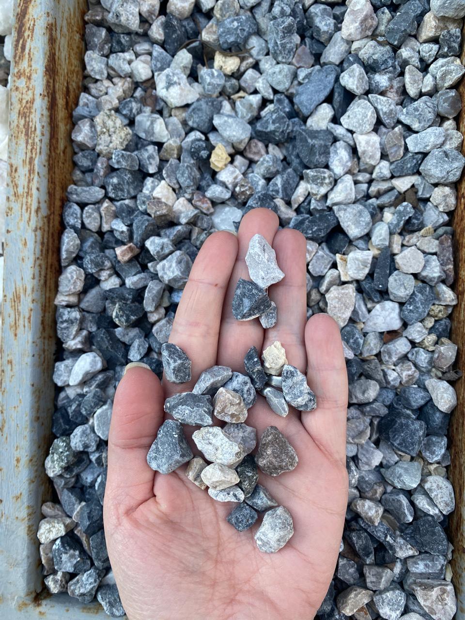 GRAVILLA GRIS 20 KG