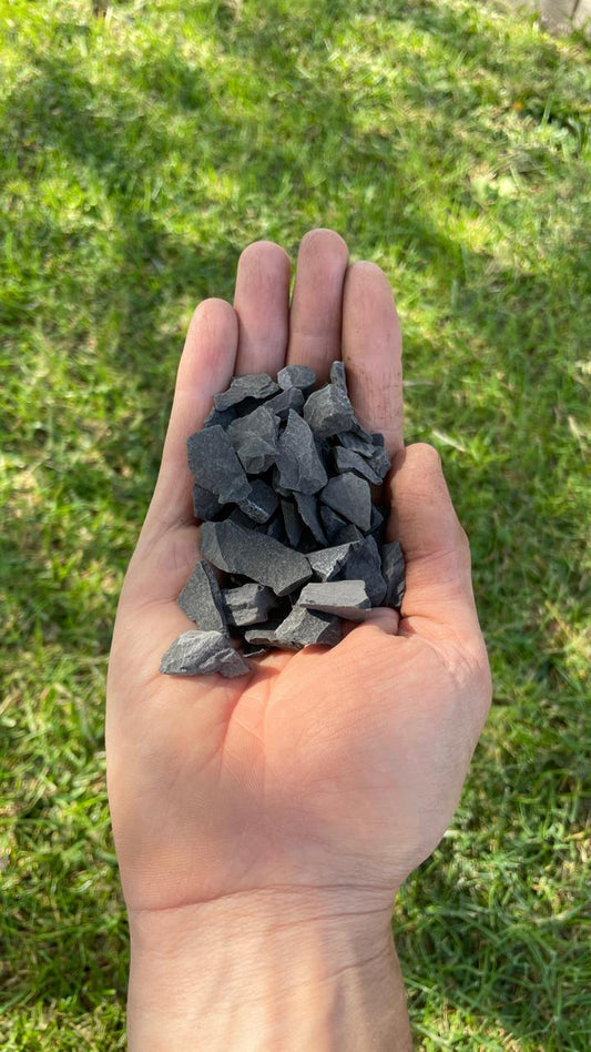 GRAVILLA NEGRA ALMENDRA 25 KG