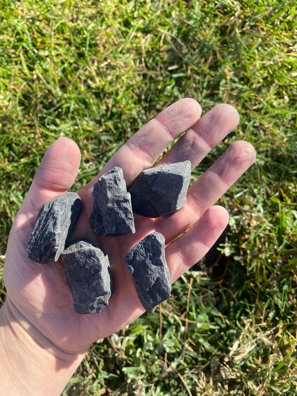 GRAVILLA NEGRA NUEZ 25 KG