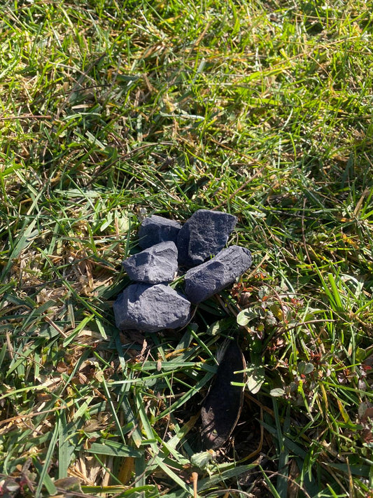 GRAVILLA NEGRA NUEZ 25 KG