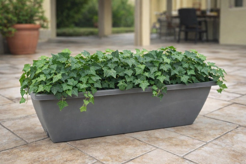 JARDINERA CON DRENAJE CONTROLADO 60 CM
