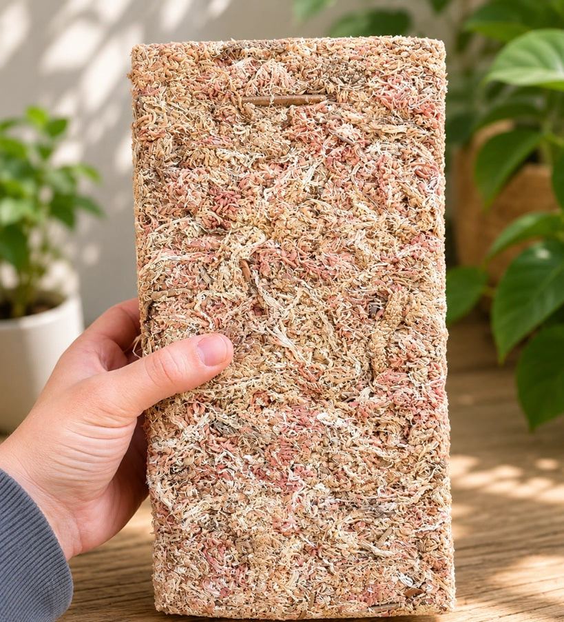 MUSGO SPHAGNUM 12 LT COMPACTADO