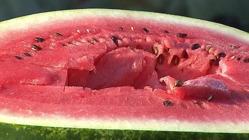 SANDIA ANTONIA PAINE