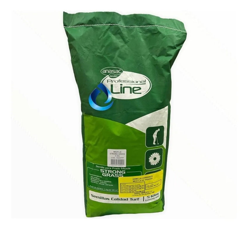 PASTO STRONG GRASS