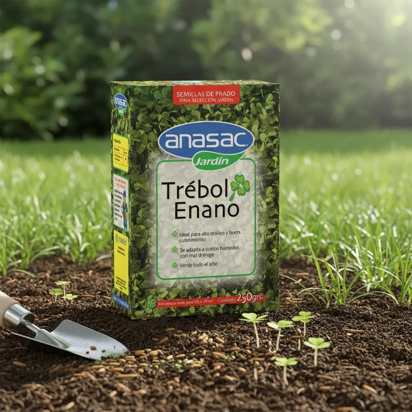 PASTO TREBOL ENANO 250 GR