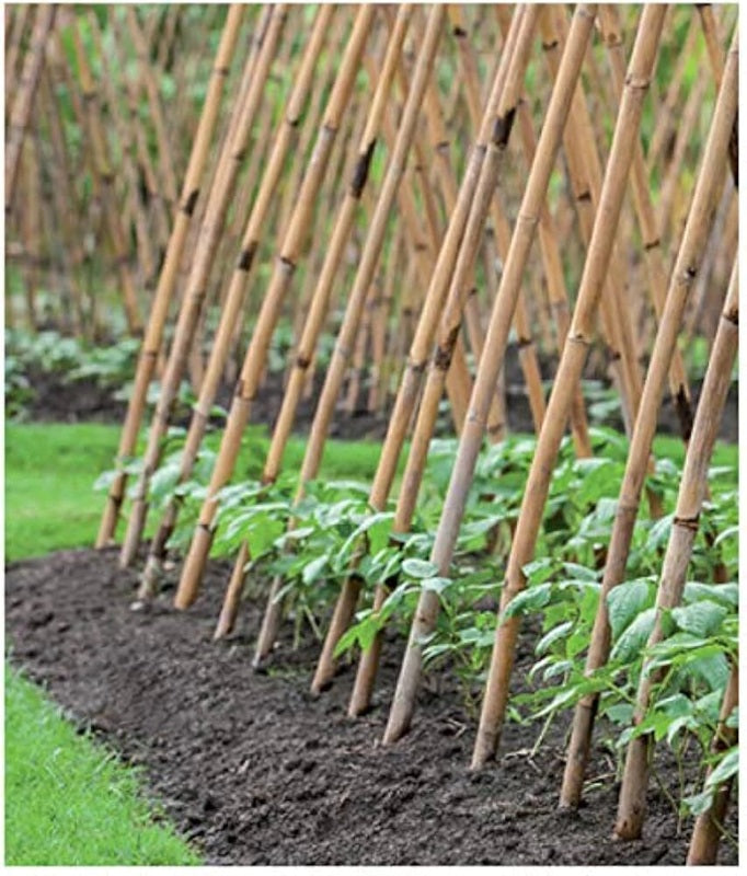 TUTORES DE BAMBOO 5 UNIDADES