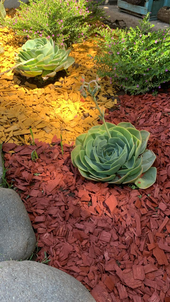 MULCH ROJO 30 LT
